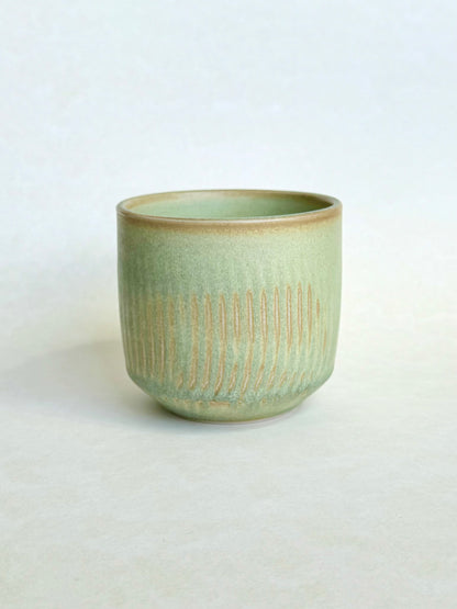 Pistachio chatter cup l